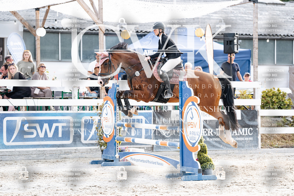 CK906800 | Turnierfotografie Pferdefotografie Trier Rheinland-Pfalz Pferdesport Reitsport Tierfotografie Sportfotografie Pferdevideo Pferdevideografie Equestrianvideography equestrianphotography  - Realisiert mit Pictrs.com
