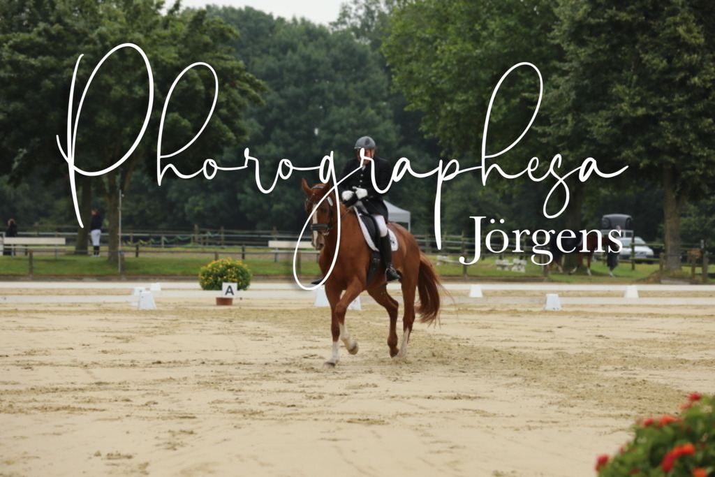 IMG_5072 | photographesa-joergens - Realisiert mit Pictrs.com