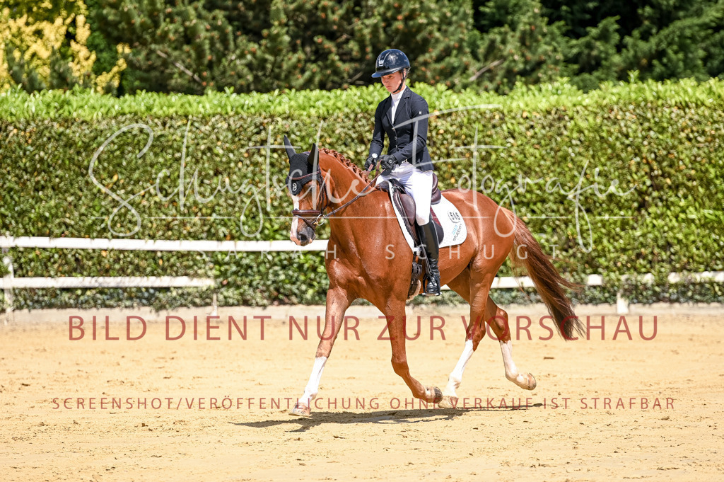 Schugtsche-Aluta25-49.Dressurpferdeprf.A-91 | Schugtsche Fotografie - Realisiert mit Pictrs.com