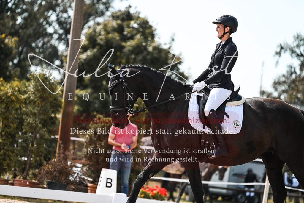 DSC_5365 | Pferde- und Turnierfotografie in Westsachsen. Pferdeportraits, Auftragszeichnungen und intuitive Kunst.