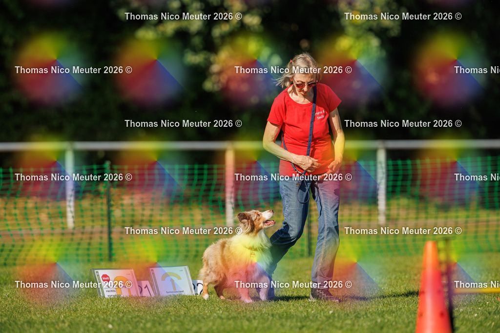 Thomas_Nico_Meuter(C)_04. Oktober 2026_223A3460 | Bild von Thomas Nico Meuter - Realisiert mit Pictrs.com