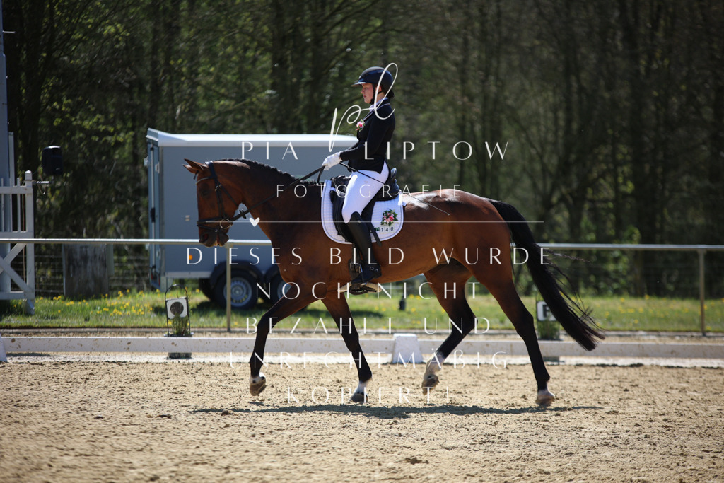 IMGT1229 | pl-fotografie