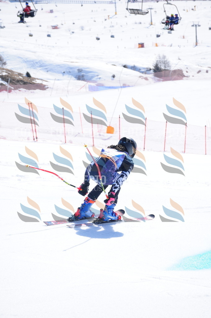 DSC_4235 | holidayphoto