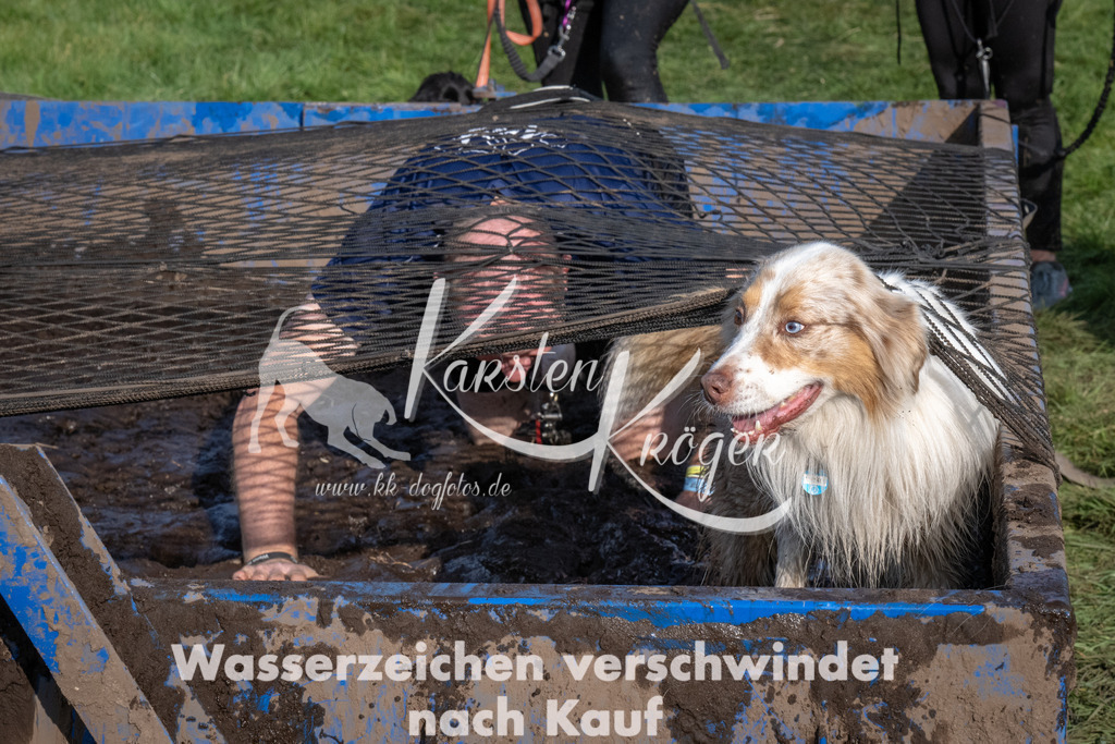 1641_ZZ92785 | kk-dogfotos