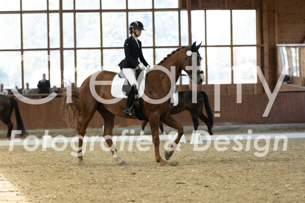 IMG_5118 | Creatify Fotografie