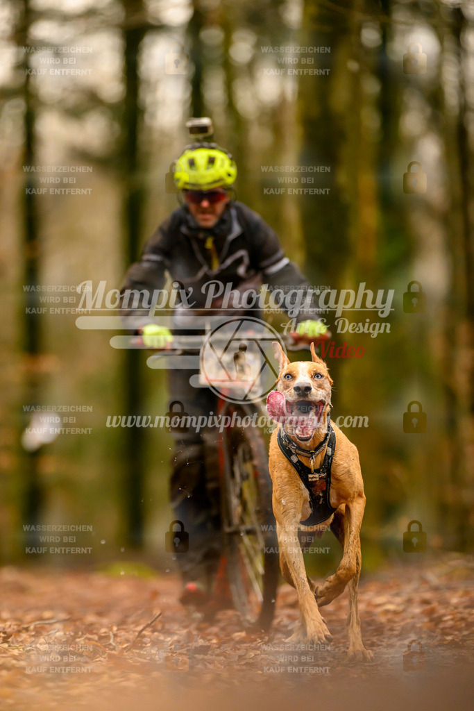 MompixPhotography_Habay2024_SA_Scooter-22 | PayLife