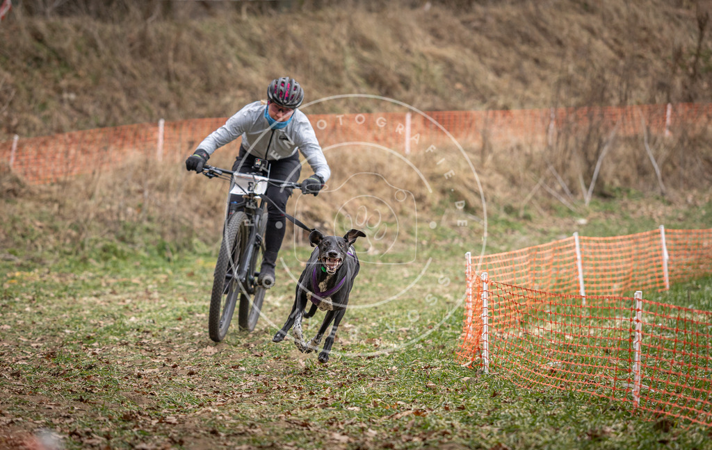 Pfotenfotografie_DV3A6549 | Hundefotografie, Tierfotograf, Pfotenfotografie, Fotoshooting Hund, Hunde Portrait, Hundesport, Hundeportraits, Heideshooting, Hunde, Sportfotograf, Hundefotograf, Turnierhundsport, THS,  - Realisiert mit Pictrs.com