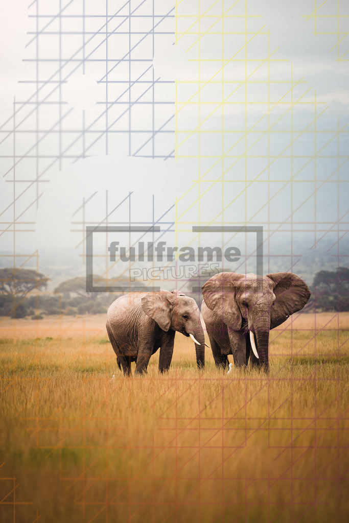 1Z3A0321 | Fullframe Pictures - Realisiert mit Pictrs.com