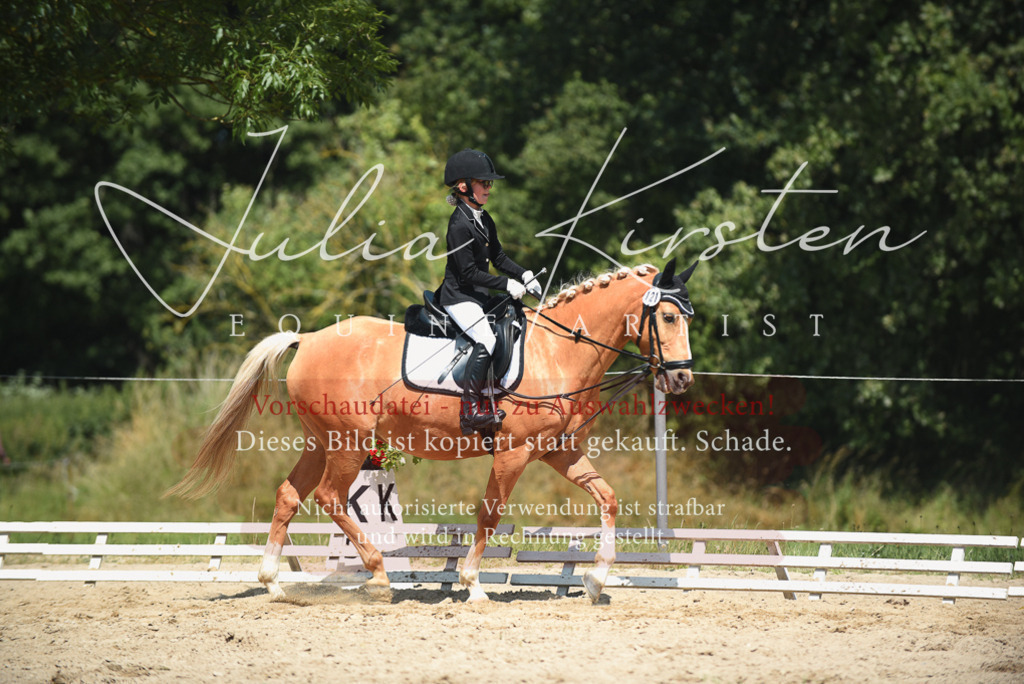 DSC_2455 | Pferde- und Turnierfotografie in Westsachsen. Pferdeportraits, Auftragszeichnungen und intuitive Kunst.