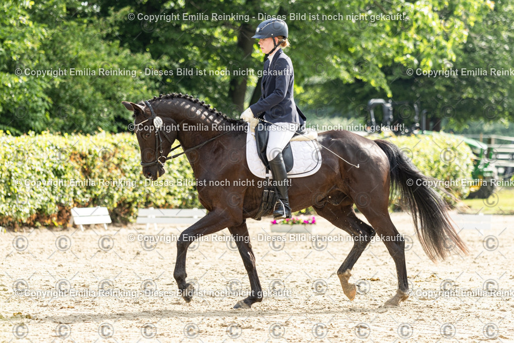 CL5A4371 | Emilia Reinking Fotografie - Realisiert mit Pictrs.com