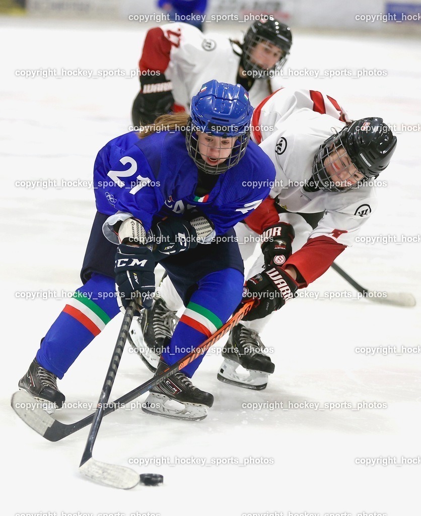 MOWE5001 | hockey sports photos, Pressefotos, Sportfotos, hockey247, win 2day icehockeyleague, Handball Austria, Floorball Austria, ÖVV, Kärntner Eishockeyverband, KEHV, KFV, Kärntner Fussballverband, Österreichischer Volleyballverband, Alps Hockey League, ÖFB, 