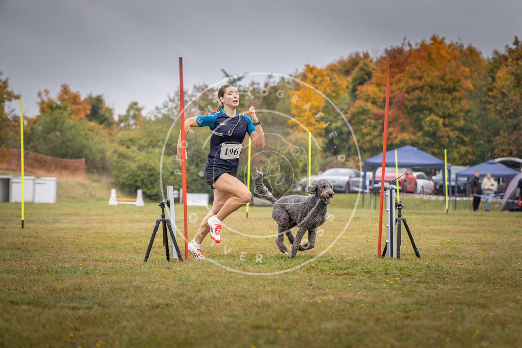 Pfotenfotografie_DV3A1064 | Hundefotografie, Tierfotograf, Pfotenfotografie, Fotoshooting Hund, Hunde Portrait, Hundesport, Hundeportraits, Heideshooting, Hunde, Sportfotograf, Hundefotograf, Turnierhundsport, THS,  - Realisiert mit Pictrs.com