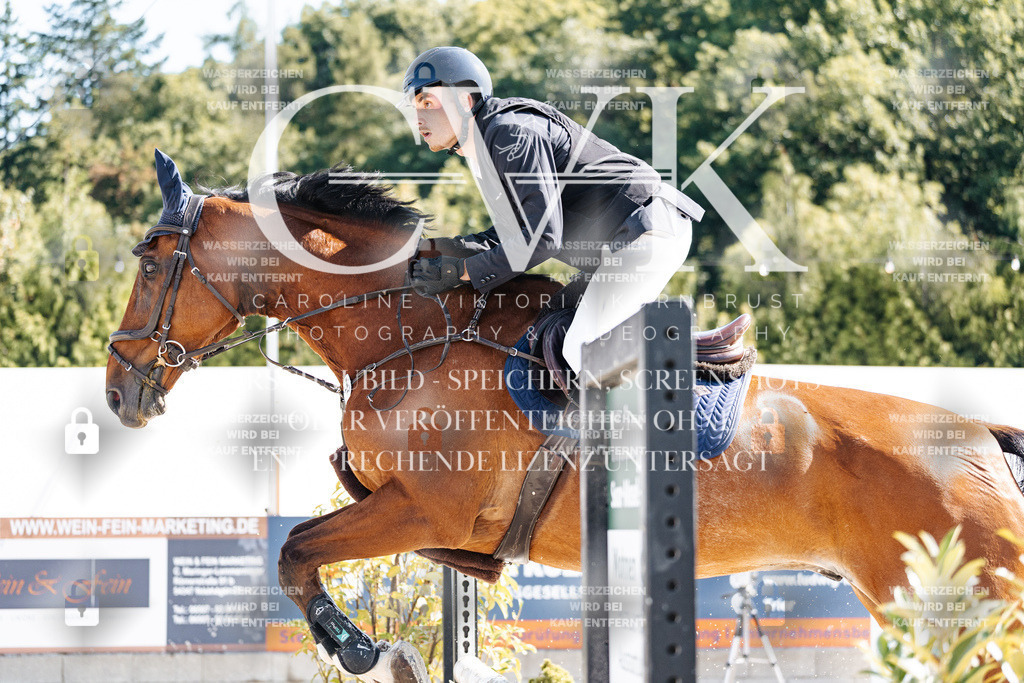 CK908081 | Turnierfotografie Pferdefotografie Trier Rheinland-Pfalz Pferdesport Reitsport Tierfotografie Sportfotografie Pferdevideo Pferdevideografie Equestrianvideography equestrianphotography  - Realisiert mit Pictrs.com
