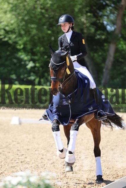 Böblingen_2025_Prfg.Nr.08_Dressurprüfung_Kl.M_Nürnberger Burgpokal_Siegerehrung_Prfg.Nr.08__ (48) | Alle Fotos der Reiterjournal Fotografin Doris Matthaes im Reiterjournal Online-Fotoshop. - Realisiert mit Pictrs.com