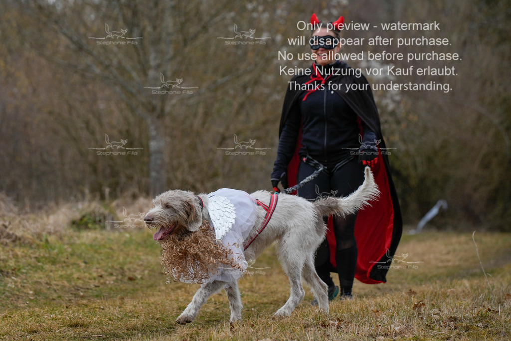 Fasching-28 | stephaniefillaphotographie - Realisiert mit Pictrs.com