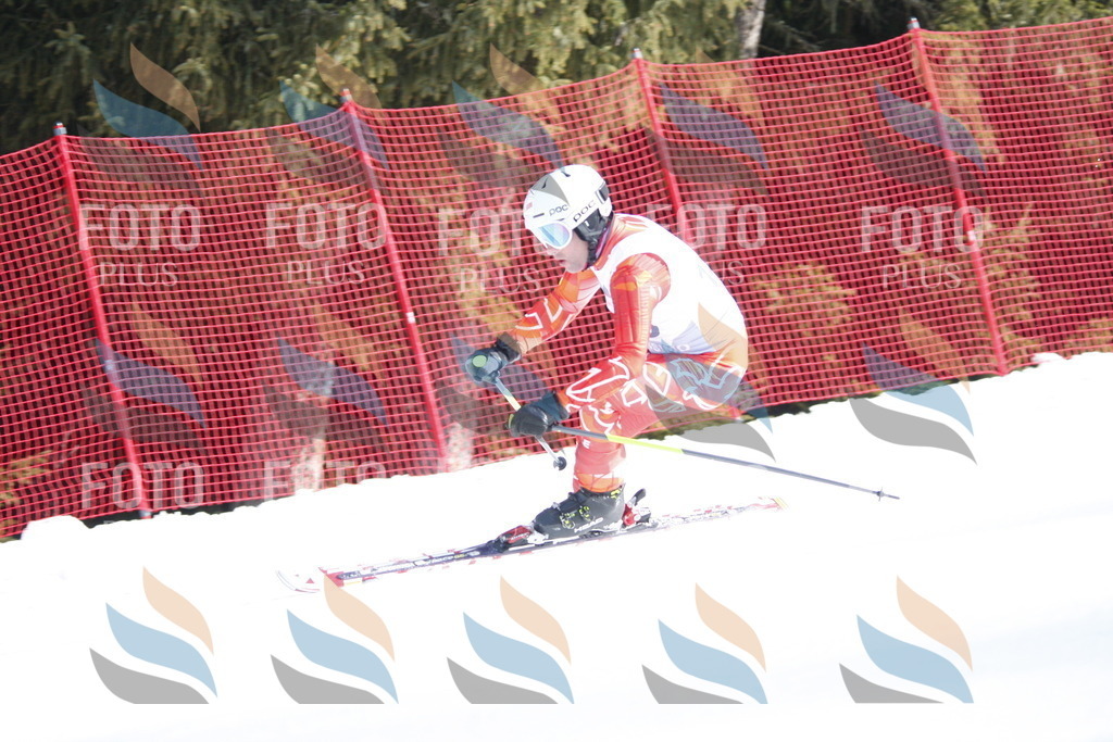 D7475 | holidayphoto