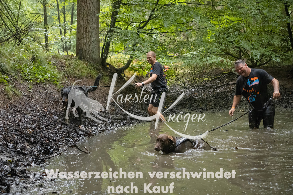 0958_ZZ91694-Bearbeitet | kk-dogfotos