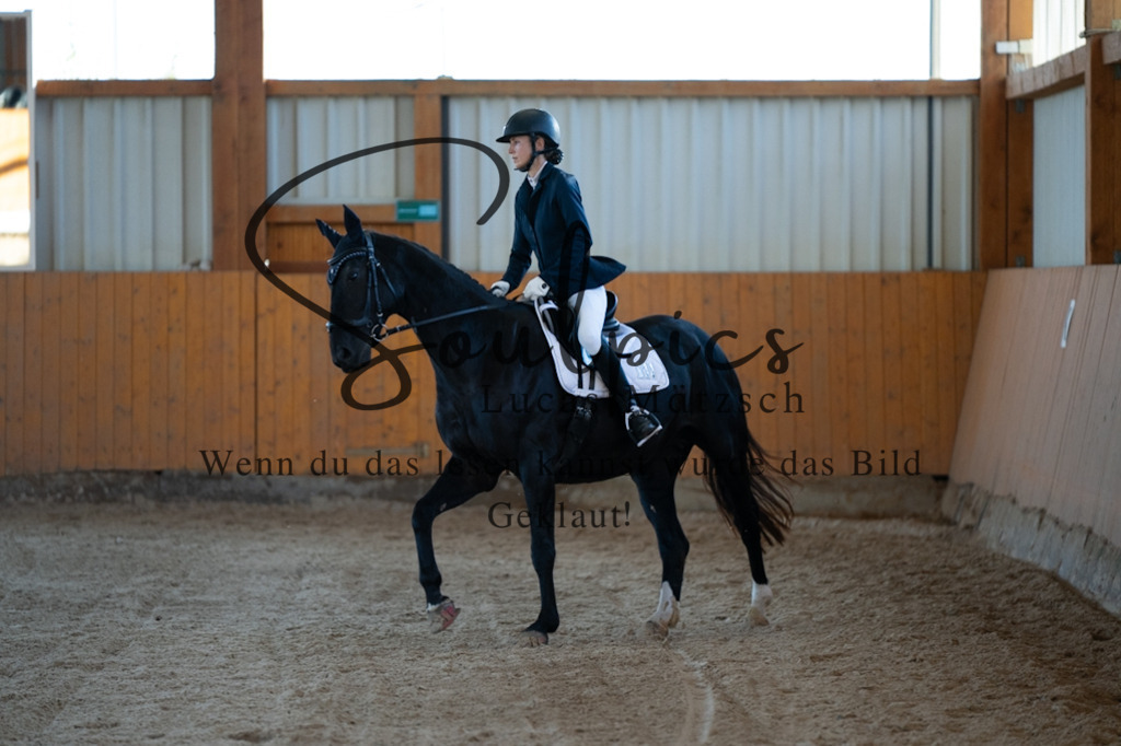 A7V01619 | Turnier/Reitfotograf