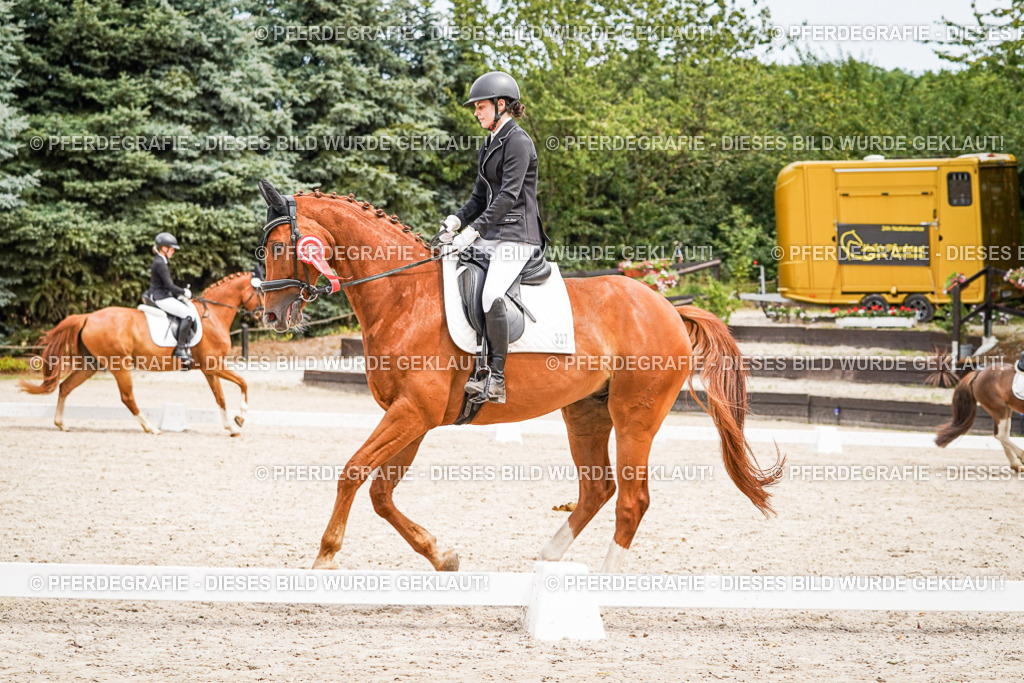 DSC04615 | Pferdegrafie