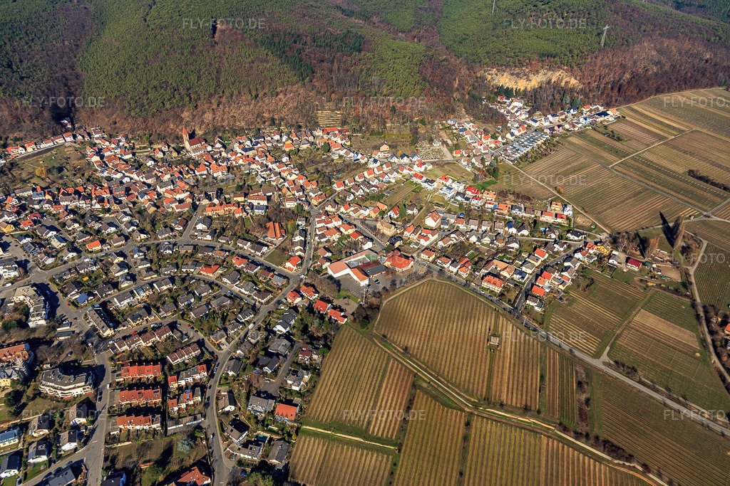 Luftbild: Raiffeisenstraße x Neubergstr im Ortsteil Königsbach in Neustadt im Bundesland Rheinland-Pfalz in Deutschland. Foto: IMG_112786.jpg vom 27.02.2019 durch Werner Riehm/FLY-FOTO.de