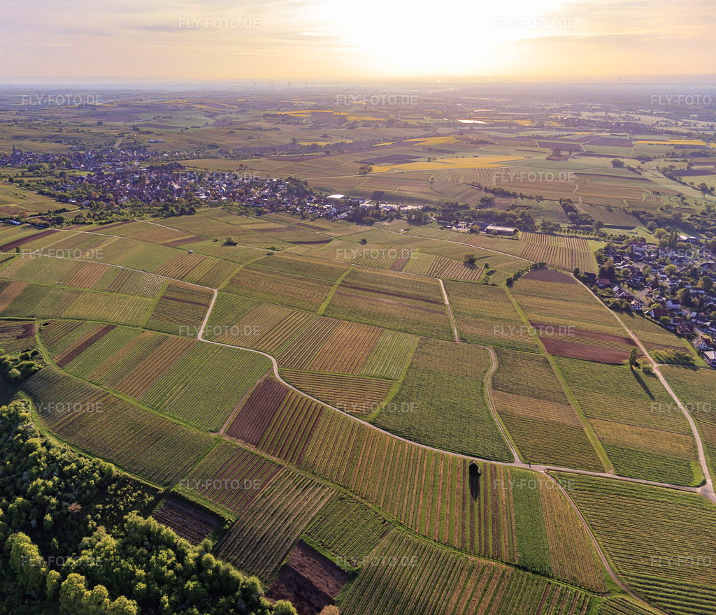 Luftbild: Weinlage Sonnenberg in Wissembourg im Bundesland Bas-Rhin in Frankreich. – Foto: IMG_107013.jpg vom 27.04.2018 durch Werner Riehm/FLY-FOTO.de – Auflösung des Originals: 4247 x 3648 px