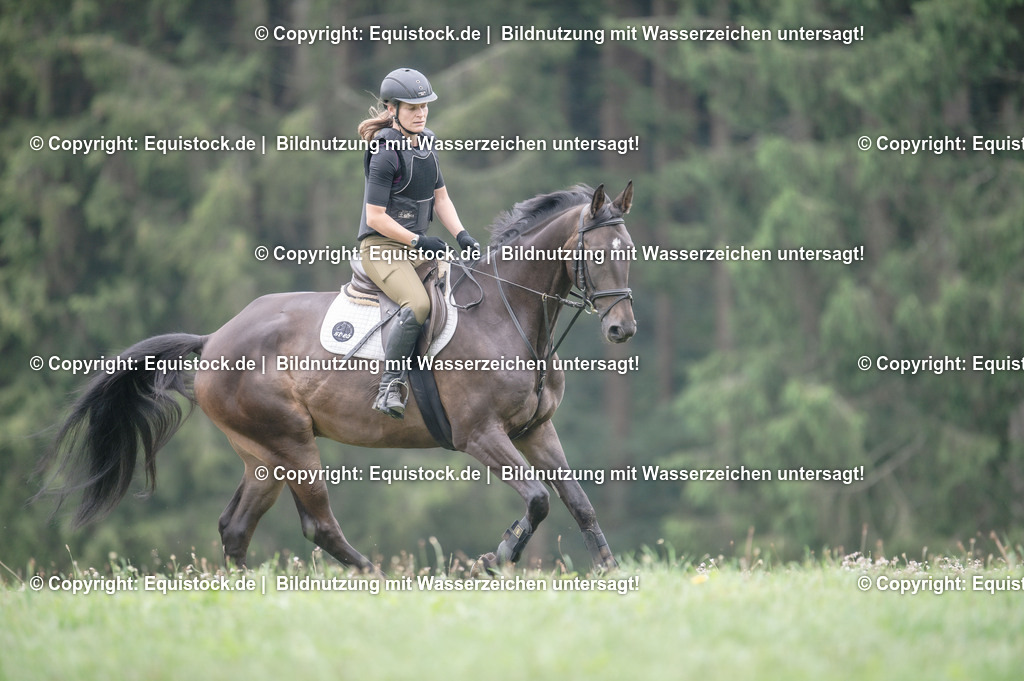 20250726_Vielseitigkeitslehrgang-Marbach_0347 | Foto: Thomas Hartig
