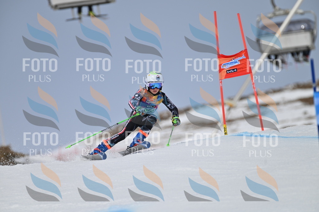 BGV_5071 | holidayphoto