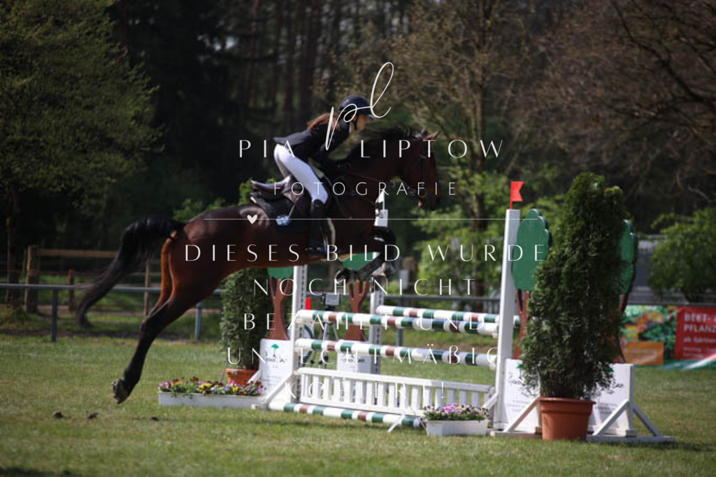 IMGT5431 | pl-fotografie