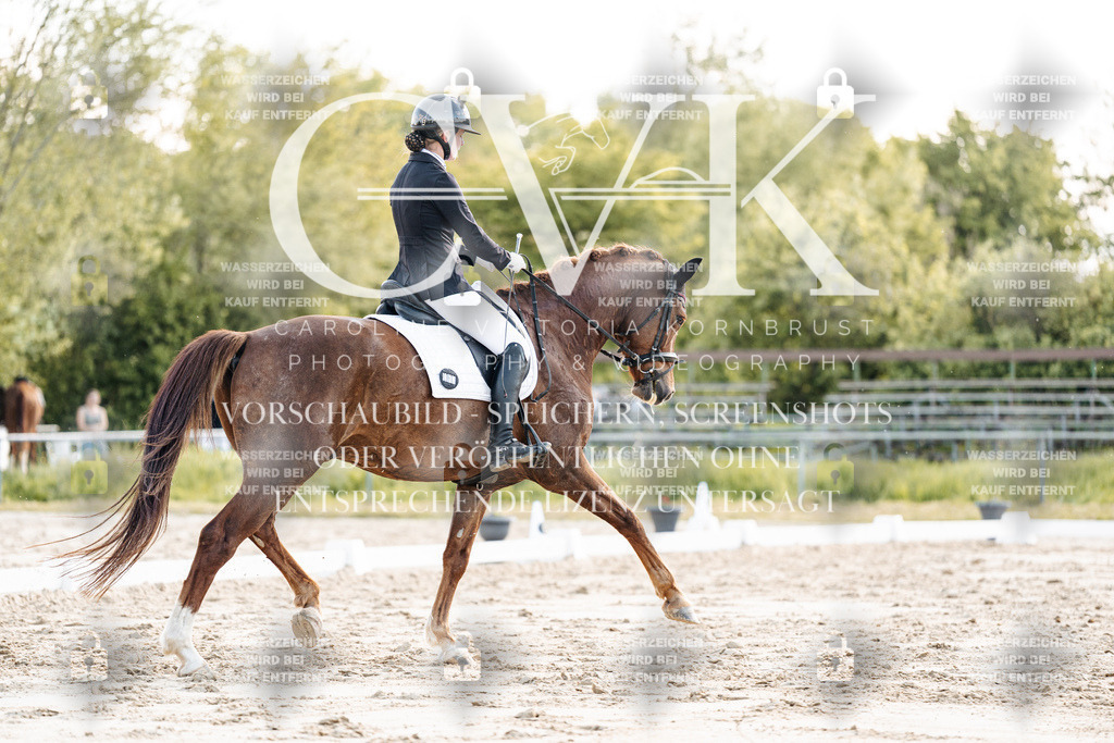 CK909757 | Turnierfotografie Pferdefotografie Trier Rheinland-Pfalz Pferdesport Reitsport Tierfotografie Sportfotografie Pferdevideo Pferdevideografie Equestrianvideography equestrianphotography  - Realisiert mit Pictrs.com