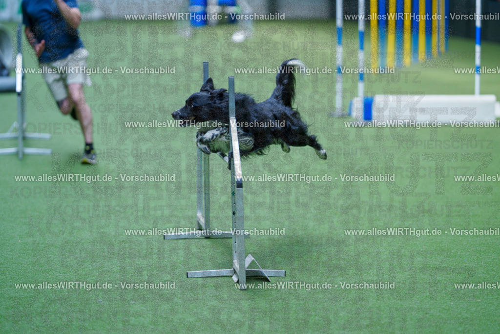 @allesWIRTHgut_Tierfotografie - www.allesWIRTHgut.de - 2604261356-7R503002 | Professionelle Tierfotografie in Mönchengladbach von Daniel Wirth (allesWIRTHgut). Liebevolle & natürliche Bilder von Hunden & Katzen für unvergessliche Erinnerungen.