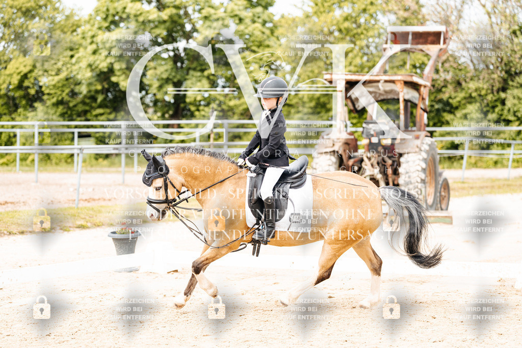 CK904662 | Turnierfotografie Pferdefotografie Trier Rheinland-Pfalz Pferdesport Reitsport Tierfotografie Sportfotografie Pferdevideo Pferdevideografie Equestrianvideography equestrianphotography  - Realisiert mit Pictrs.com