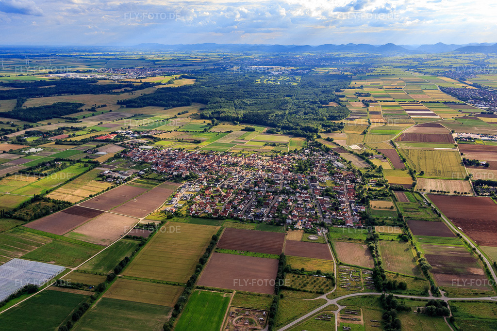 Luftbild: Ortsübersicht aus Osten in Zeiskam im Bundesland Rheinland-Pfalz in Deutschland. Foto: IMG_090059.jpg vom 26.06.2016 durch Werner Riehm/FLY-FOTO.de