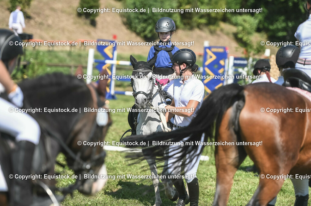 20230910_11-2_Führzügel-WB_0074 | Foto: Thomas Hartig