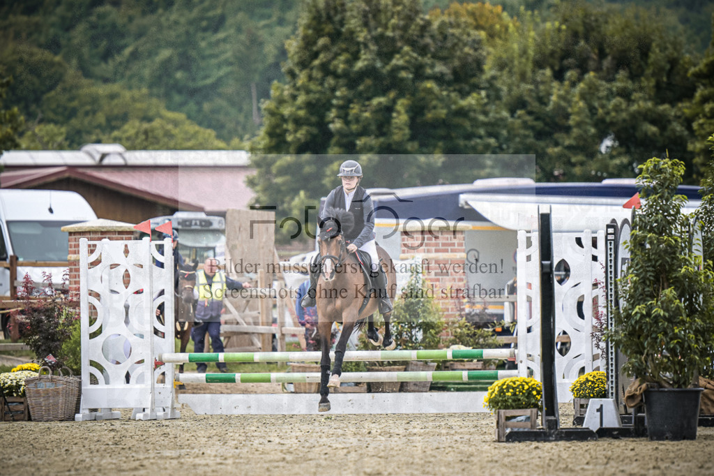 DOS_0926 | Entdecke hochwertige Reitturnierfotos von Foto Oger. Professionell, emotional und authentisch – jetzt Lieblingsmomente im Shop bestellen.Deutschlandweite Turnierfotografie. - Realisiert mit Pictrs.com