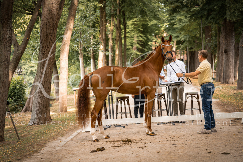 FrPfM00091 | Leoni Ertmer Photography - Realisiert mit Pictrs.com