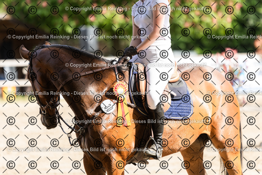 CL5A5121 | Emilia Reinking Fotografie - Realisiert mit Pictrs.com
