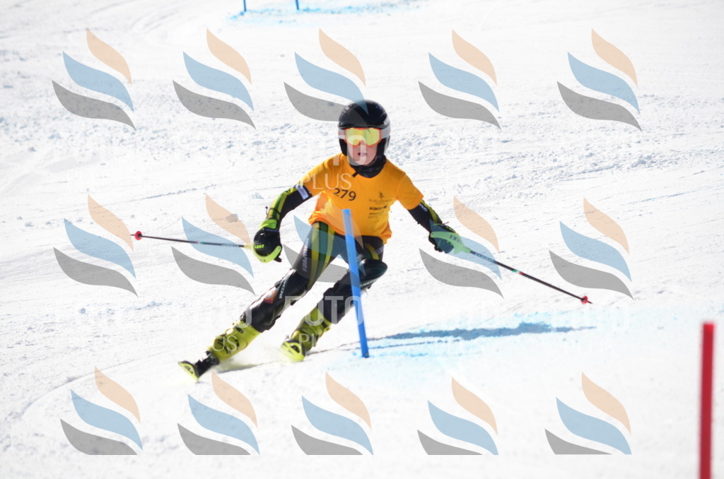 C8631 | holidayphoto