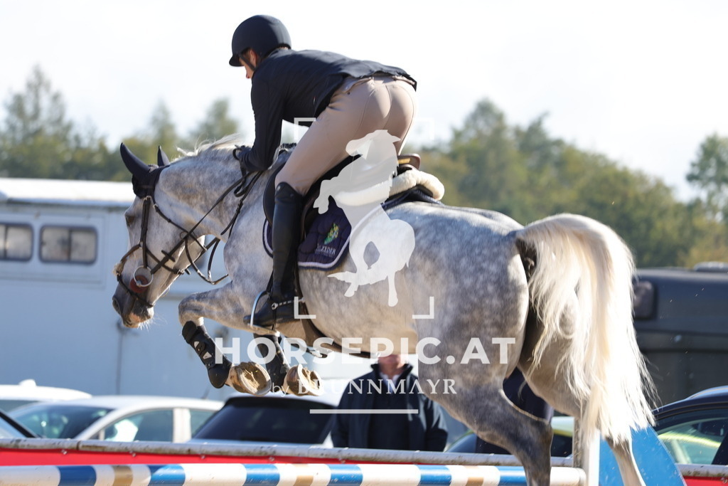 0P6A9507 | Willkommen bei Brunnmayr - Design & Fotografie – Ihrem Spezialisten für Reitturniere und Pferdeveranstaltungen in Oberösterreich, Salzburg und Bayern! Seit über 17 Jahren sind wir leidenschaftlich dabei.