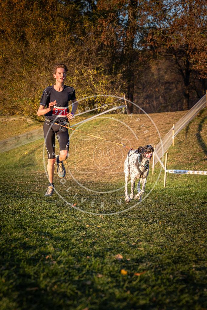 CaniXpix_0L8A1604 | Hundefotografie, Tierfotograf, Pfotenfotografie, Fotoshooting Hund, Hunde Portrait, Hundesport, Hundeportraits, Heideshooting, Hunde, Sportfotograf, Hundefotograf, Turnierhundsport, THS,  - Realisiert mit Pictrs.com