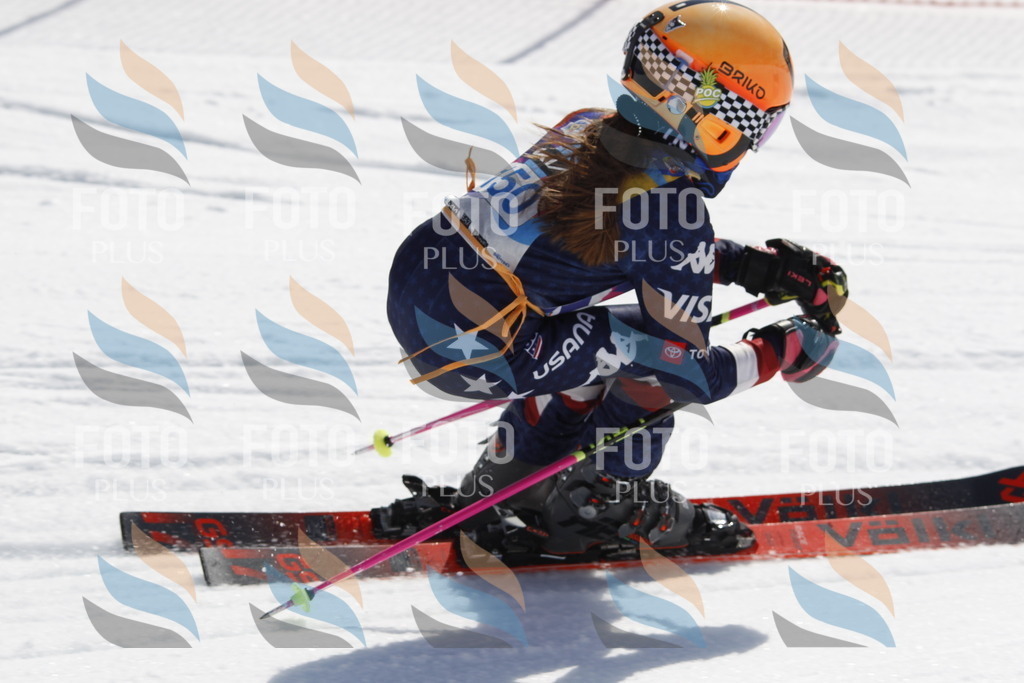 _U3G1230 | holidayphoto