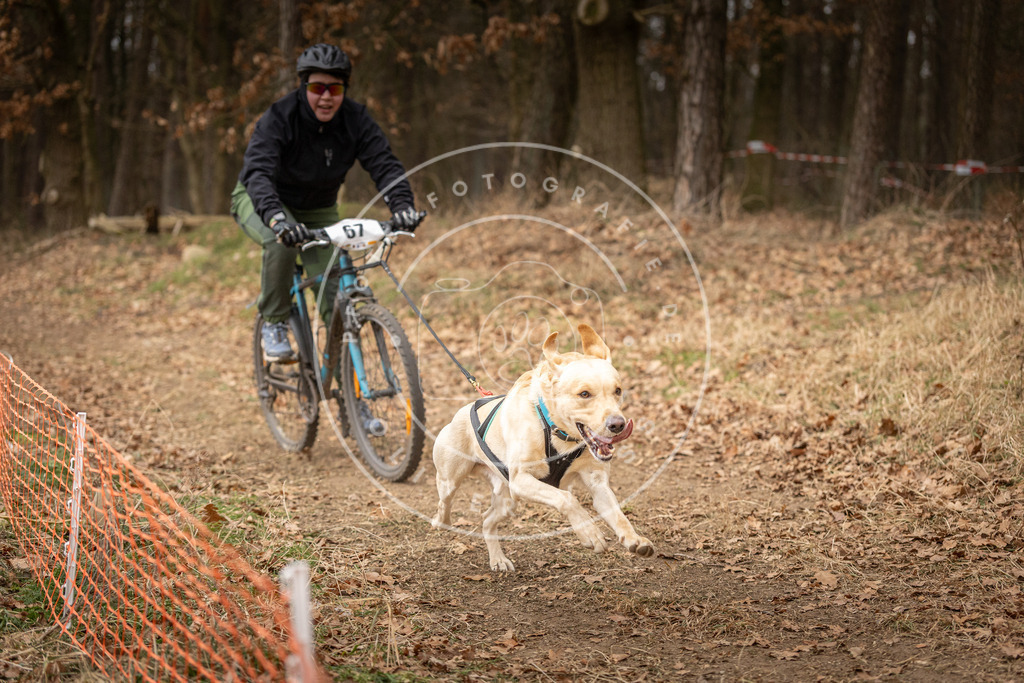 Pfotenfotografie_DV3A3440 | Hundefotografie, Tierfotograf, Pfotenfotografie, Fotoshooting Hund, Hunde Portrait, Hundesport, Hundeportraits, Heideshooting, Hunde, Sportfotograf, Hundefotograf, Turnierhundsport, THS,  - Realisiert mit Pictrs.com