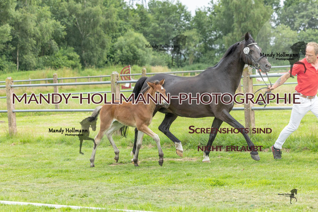 FS Timmel  26 (651 von 683) | mandyhollmannphotographie