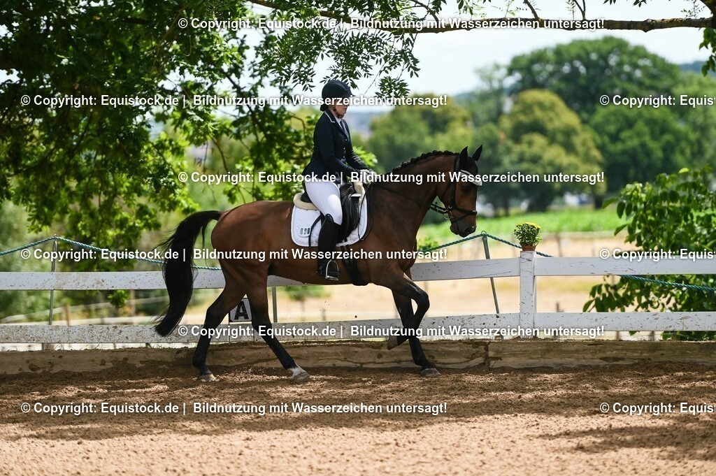 20230716_03_Dressurprfg. Kl.L - Tr._0672 | equistock