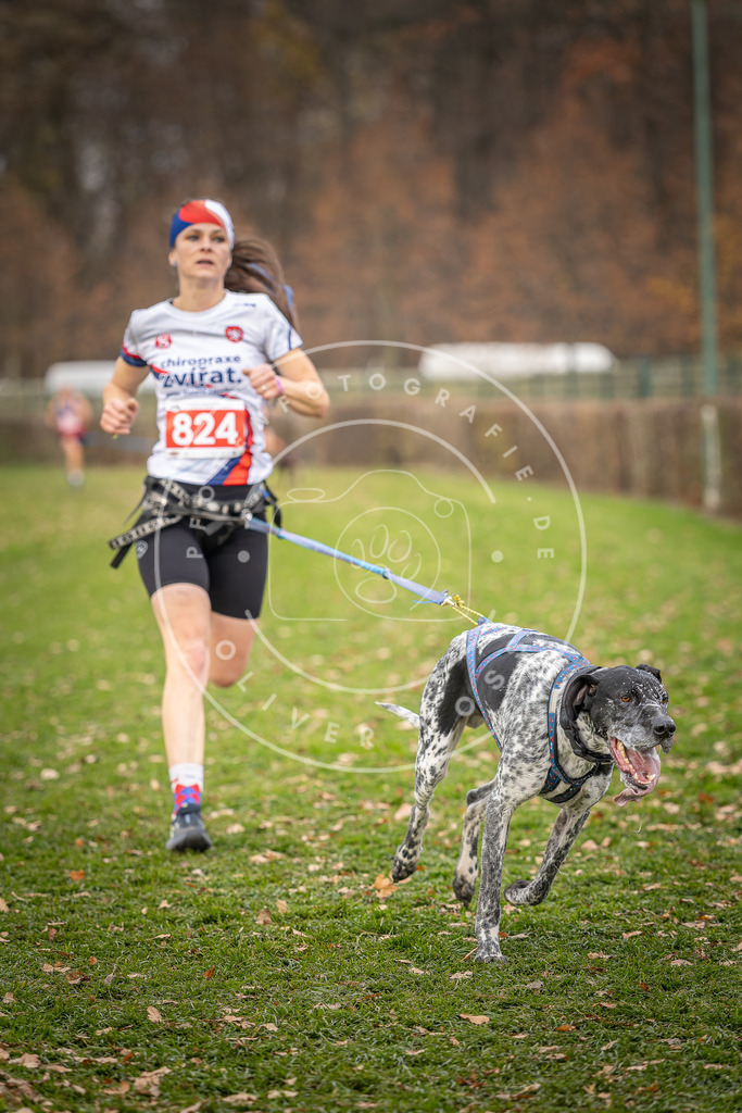 CaniXpix_DV3A6334 | Hundefotografie, Tierfotograf, Pfotenfotografie, Fotoshooting Hund, Hunde Portrait, Hundesport, Hundeportraits, Heideshooting, Hunde, Sportfotograf, Hundefotograf, Turnierhundsport, THS,  - Realisiert mit Pictrs.com