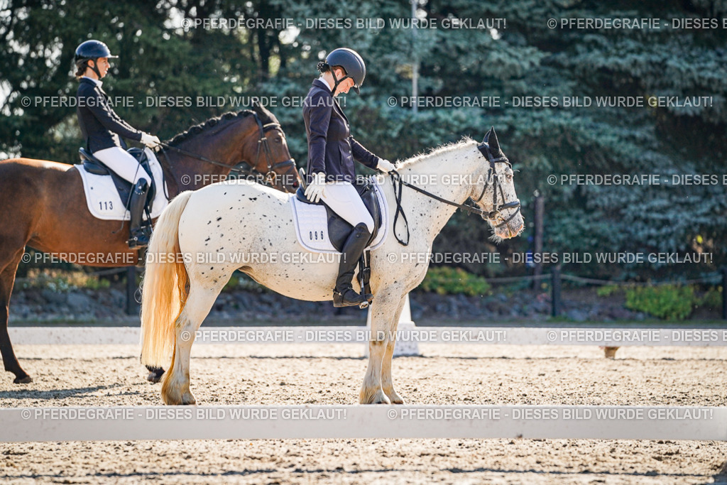 DSC09326 | Pferdegrafie