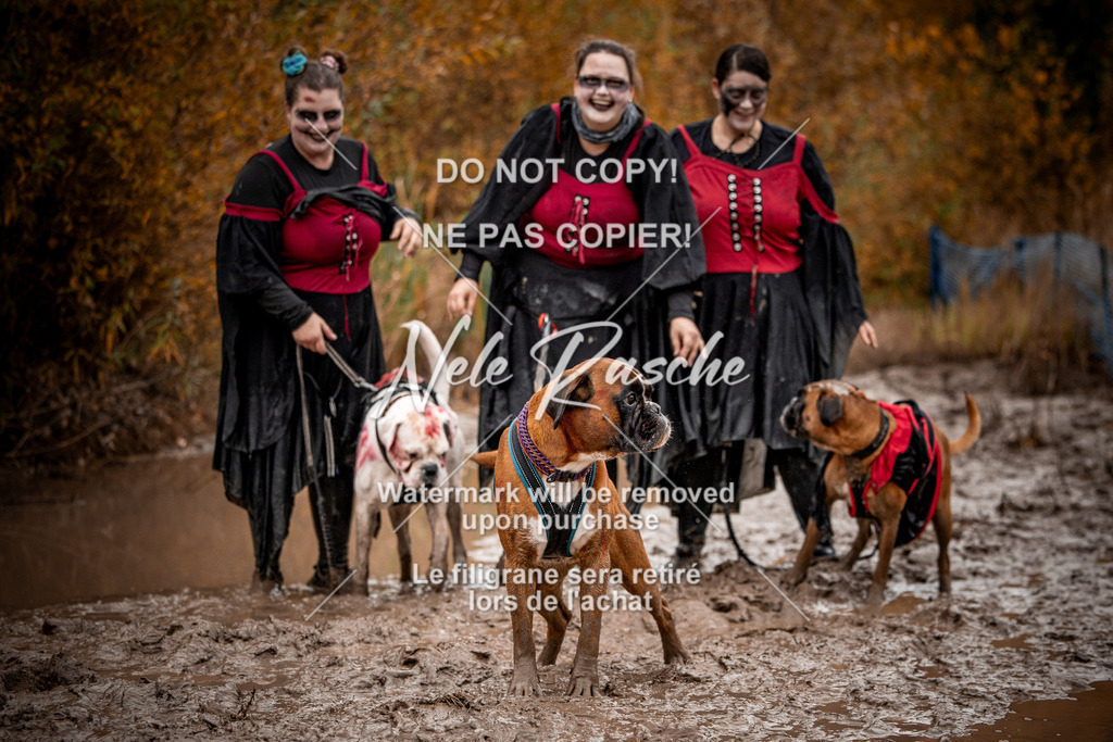 nelerasche_Creepy2025_Sa10-11_218 | nelerasche