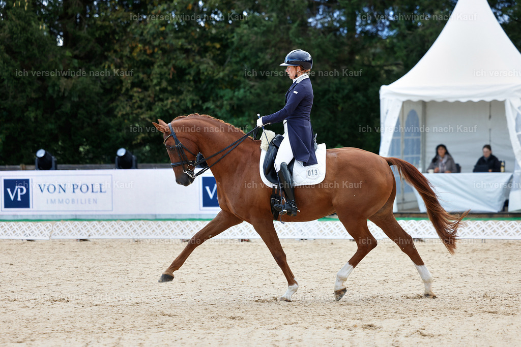 10-013-ST.GEORG SPECIAL -StoibPH-3115 | working equitationturnier fotograf videograf stoibphotography marixx film working equitation deutschland reitsport turnierfotografie eventfotografie equestrian events