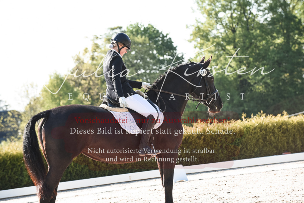 20230518_JK-Röhrsdorf-09-0633 | Pferde- und Turnierfotografie in Westsachsen. Pferdeportraits, Auftragszeichnungen und intuitive Kunst.