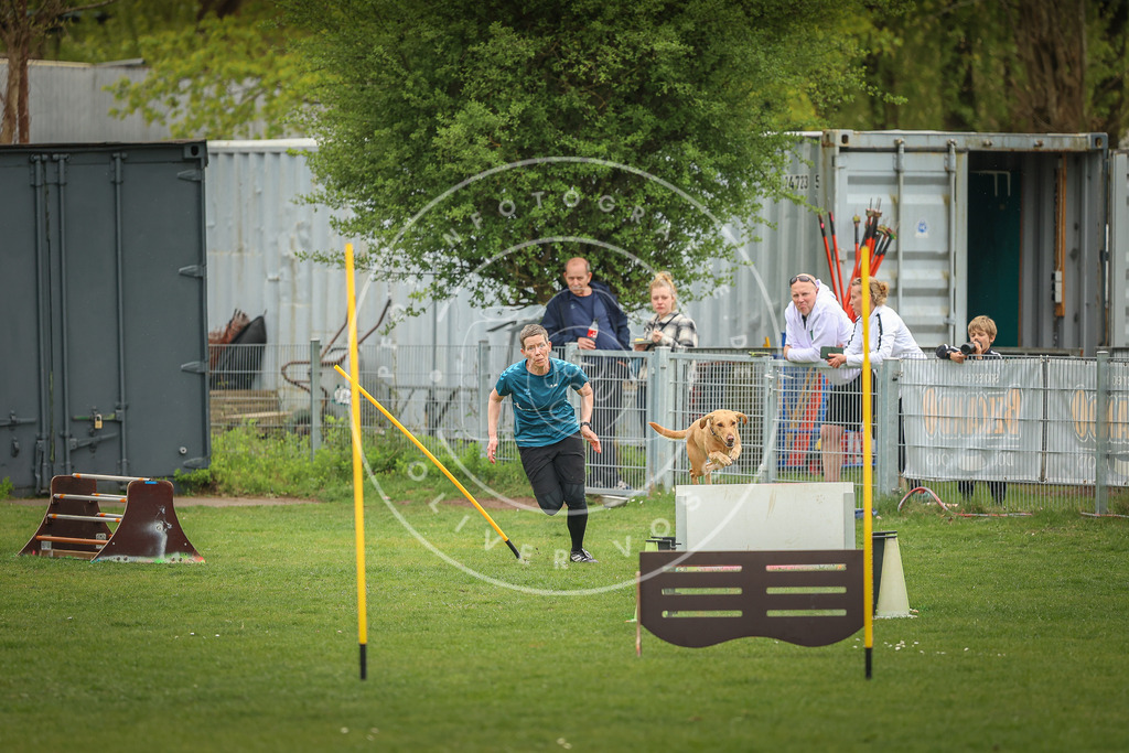 Pfotenfotografie_0L8A1489 | Hundefotografie, Tierfotograf, Pfotenfotografie, Fotoshooting Hund, Hunde Portrait, Hundesport, Hundeportraits, Heideshooting, Hunde, Sportfotograf, Hundefotograf, Turnierhundsport, THS,  - Realisiert mit Pictrs.com
