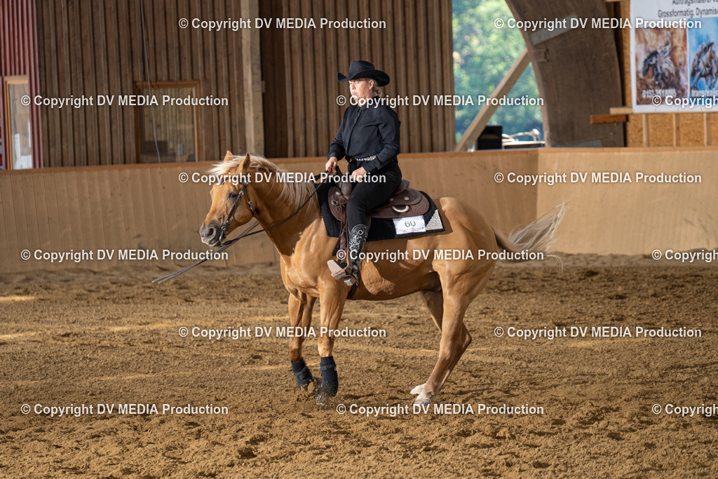 DSC00089 | dv-media-shop - Realisiert mit Pictrs.com